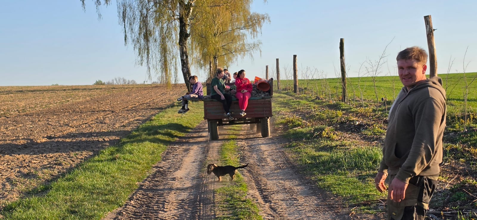 Gospodarstwo Rolne Bauer — polna droga w Sternalicach