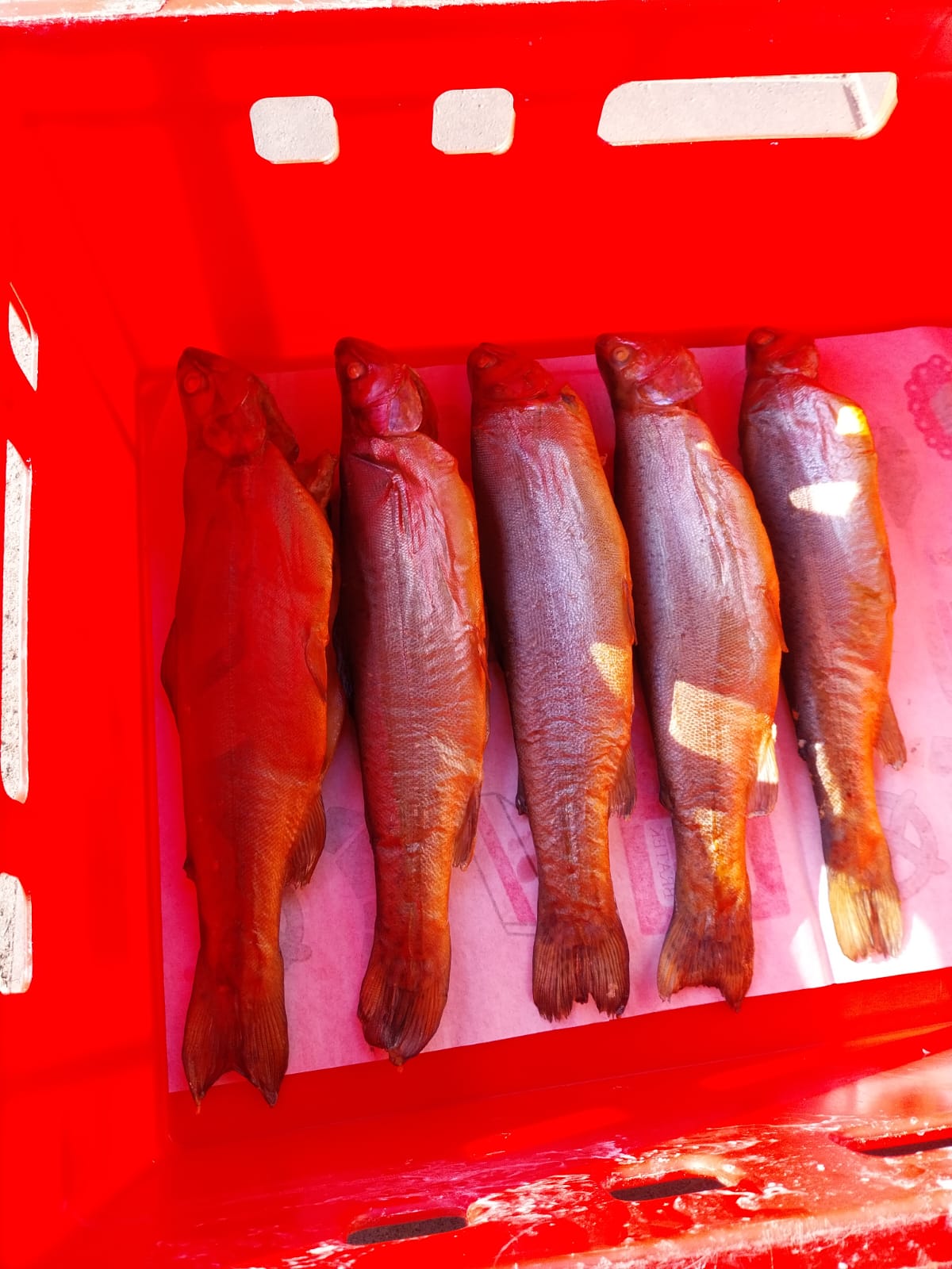 Geräucherte Forellen